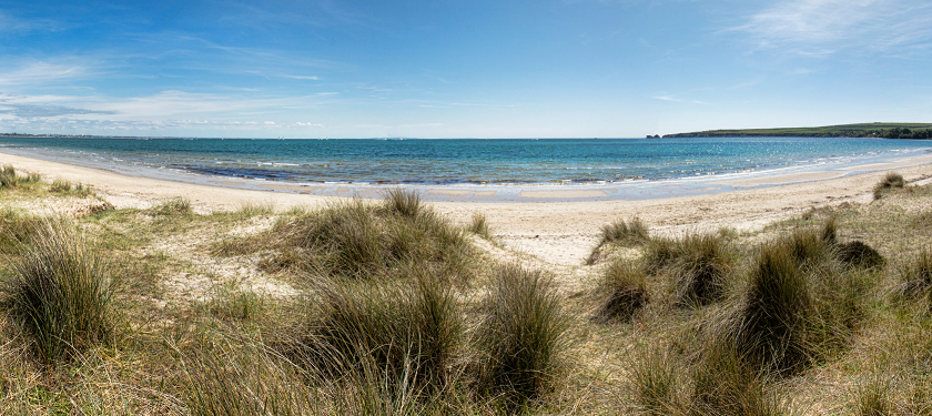 Bournemouth and Poole Studland Beach dunes