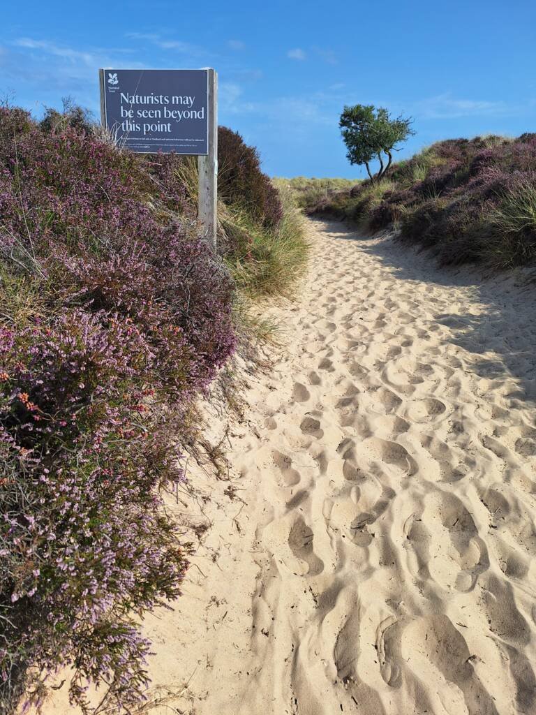 Studland Bay nudist beach